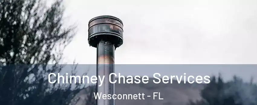 Chimney Chase Services Wesconnett - FL