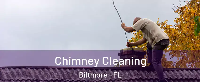 Chimney Cleaning Biltmore - FL