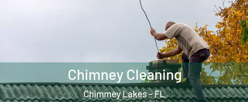 Chimney Cleaning Chimmey Lakes - FL