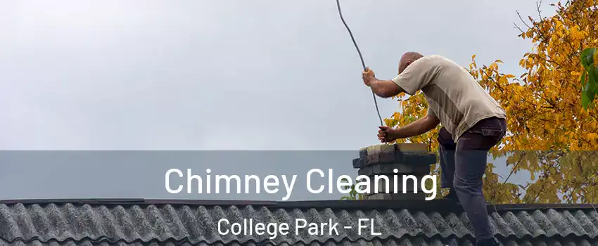 Chimney Cleaning College Park - FL