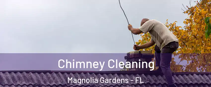 Chimney Cleaning Magnolia Gardens - FL