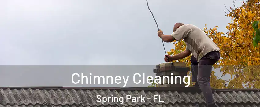 Chimney Cleaning Spring Park - FL