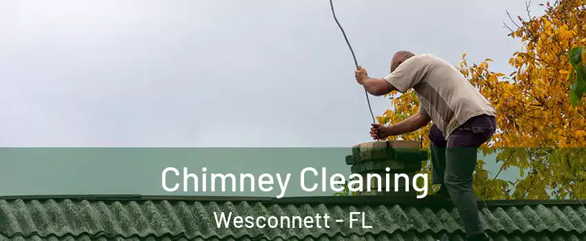 Chimney Cleaning Wesconnett - FL