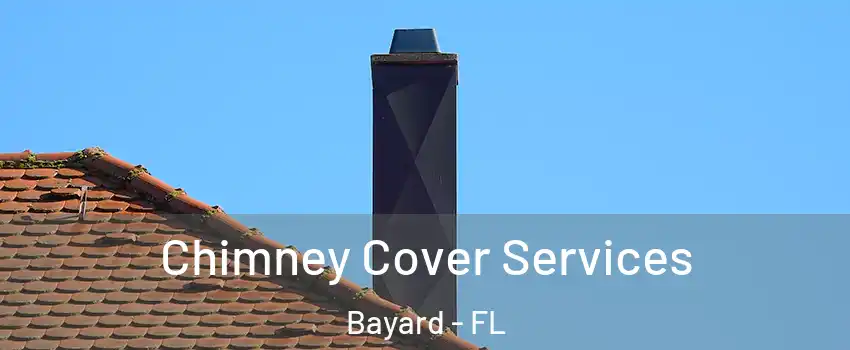 Chimney Cover Services Bayard - FL