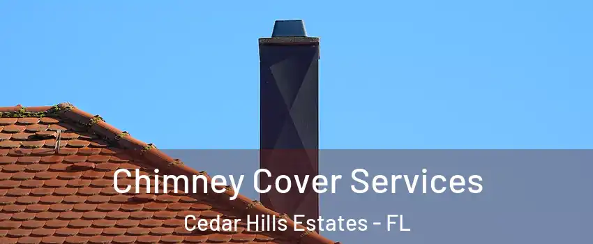 Chimney Cover Services Cedar Hills Estates - FL
