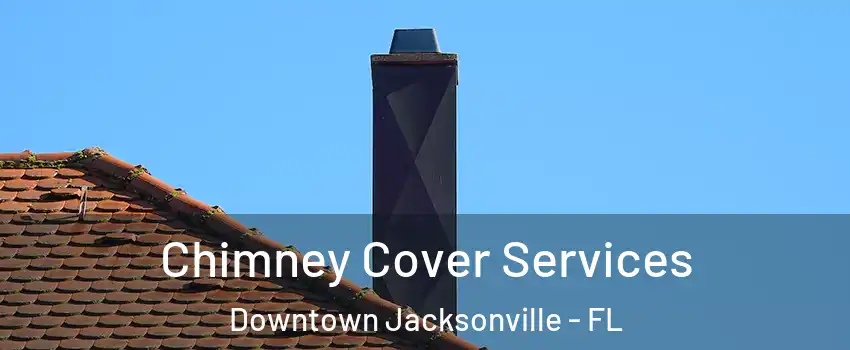 Chimney Cover Services Downtown Jacksonville - FL