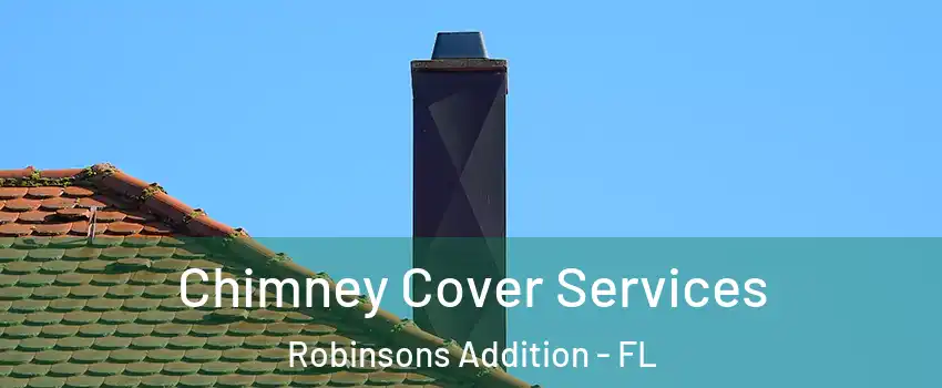 Chimney Cover Services Robinsons Addition - FL
