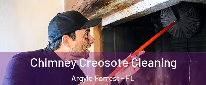 Chimney Creosote Cleaning Argyle Forrest - FL