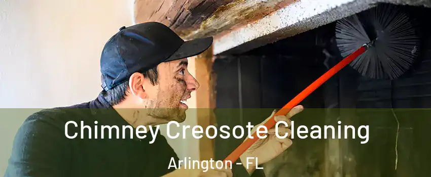Chimney Creosote Cleaning Arlington - FL