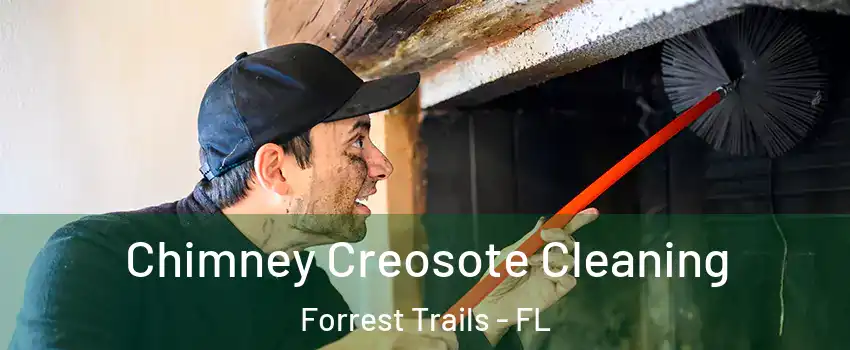 Chimney Creosote Cleaning Forrest Trails - FL