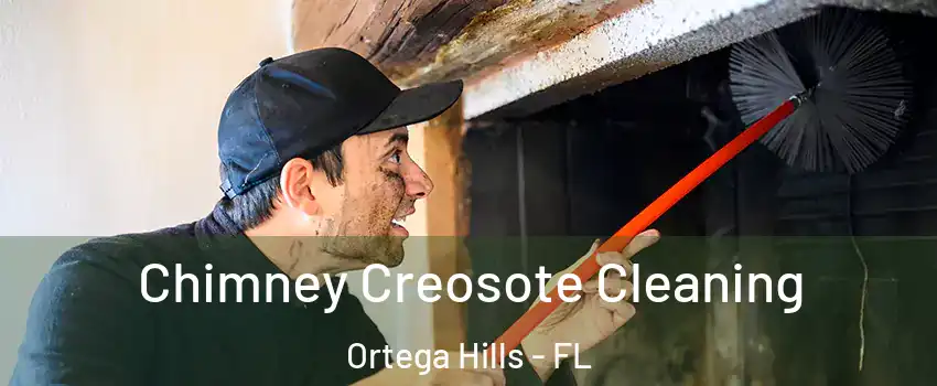 Chimney Creosote Cleaning Ortega Hills - FL