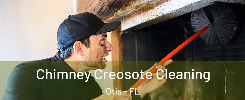 Chimney Creosote Cleaning Otis - FL