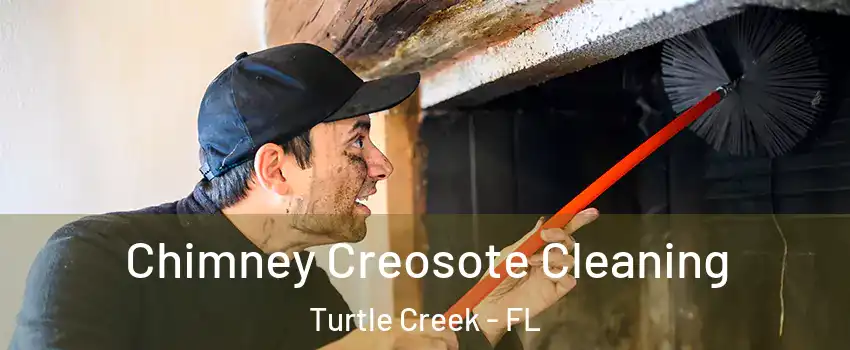 Chimney Creosote Cleaning Turtle Creek - FL