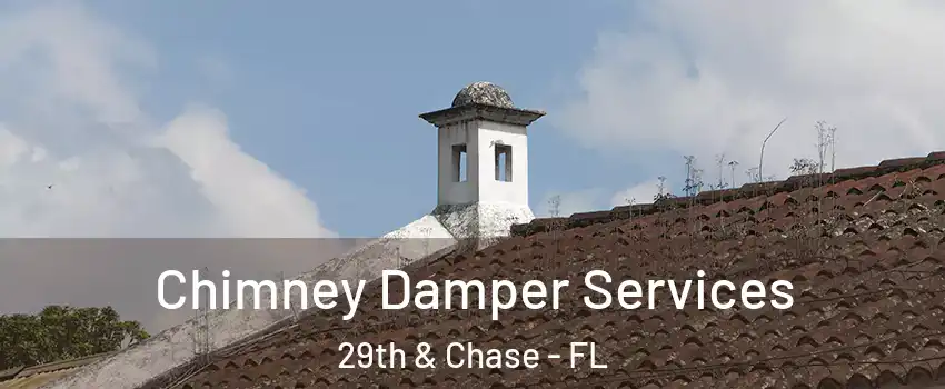 Chimney Damper Services 29th & Chase - FL