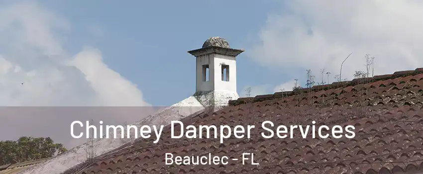 Chimney Damper Services Beauclec - FL