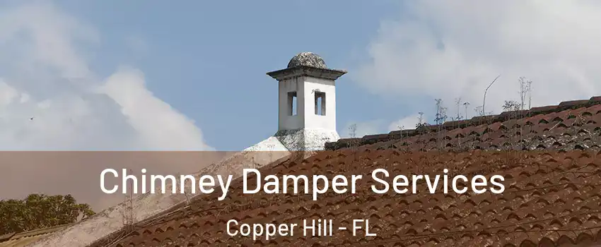 Chimney Damper Services Copper Hill - FL