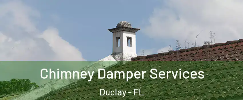 Chimney Damper Services Duclay - FL