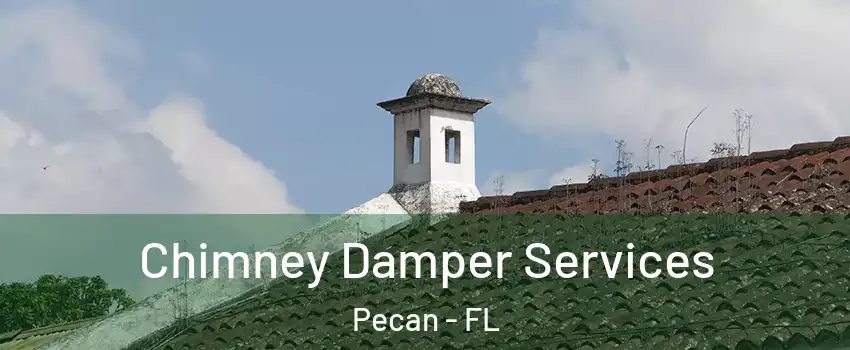 Chimney Damper Services Pecan - FL