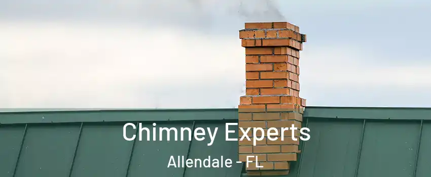 Chimney Experts Allendale - FL