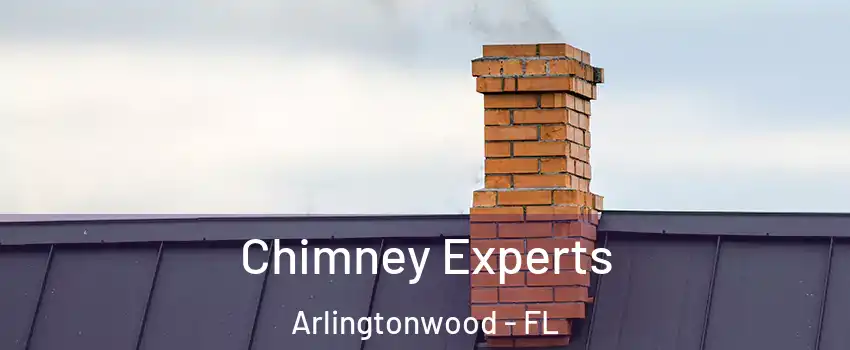 Chimney Experts Arlingtonwood - FL