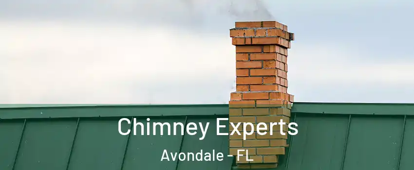 Chimney Experts Avondale - FL