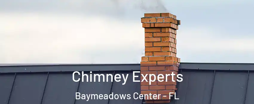 Chimney Experts Baymeadows Center - FL