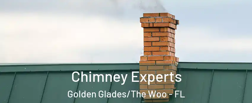 Chimney Experts Golden Glades/The Woo - FL