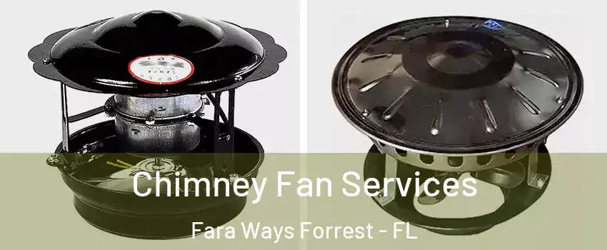 Chimney Fan Services Fara Ways Forrest - FL