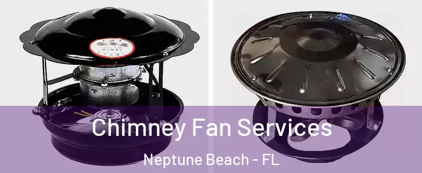 Chimney Fan Services Neptune Beach - FL
