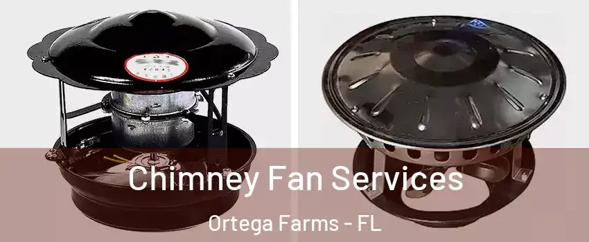 Chimney Fan Services Ortega Farms - FL