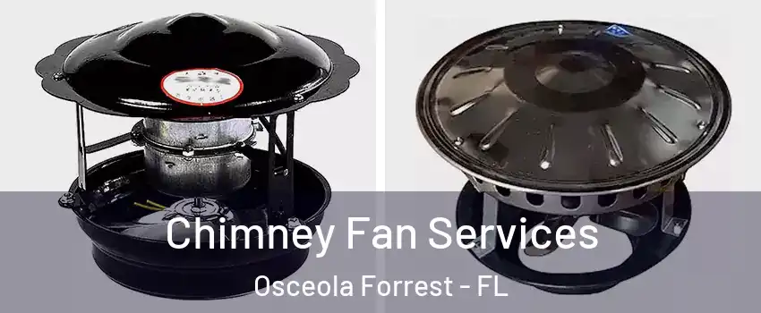 Chimney Fan Services Osceola Forrest - FL