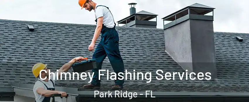 Chimney Flashing Services Park Ridge - FL