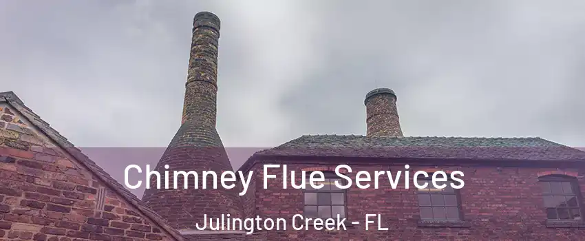 Chimney Flue Services Julington Creek - FL