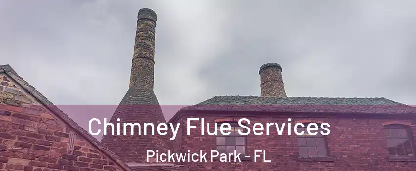 Chimney Flue Services Pickwick Park - FL