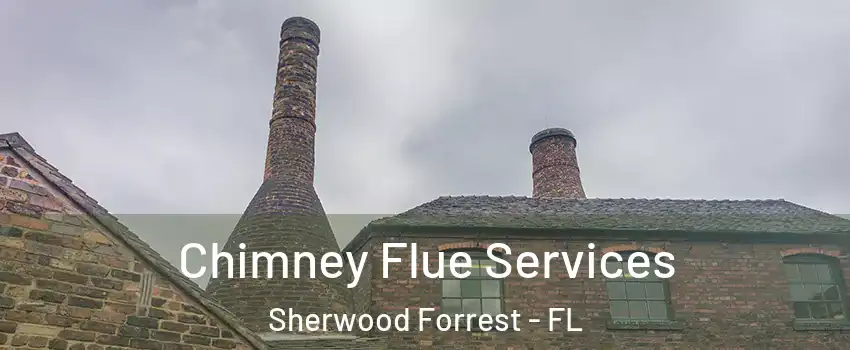 Chimney Flue Services Sherwood Forrest - FL