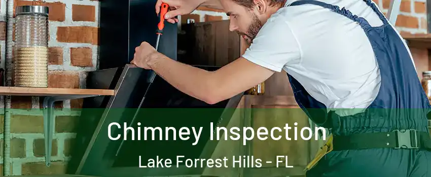 Chimney Inspection Lake Forrest Hills - FL