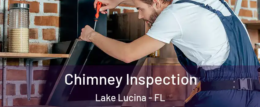 Chimney Inspection Lake Lucina - FL