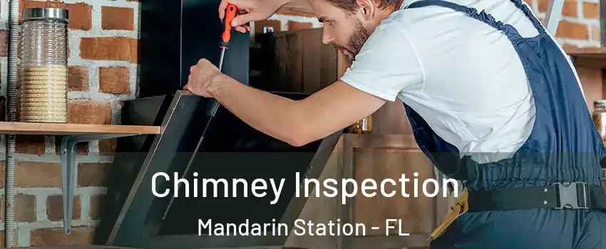 Chimney Inspection Mandarin Station - FL