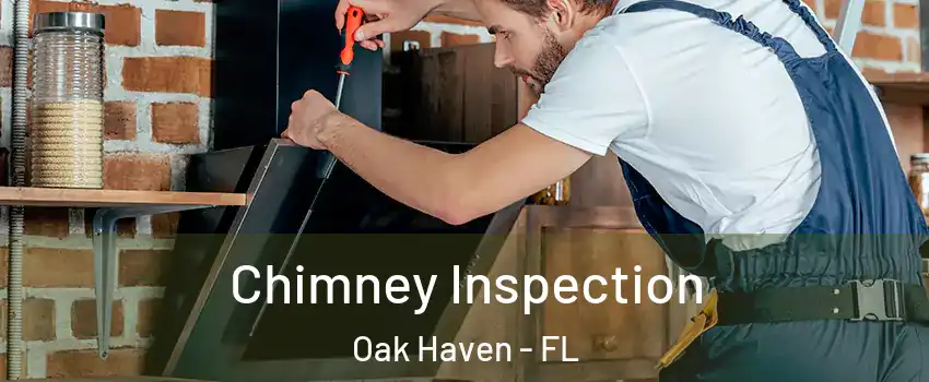 Chimney Inspection Oak Haven - FL