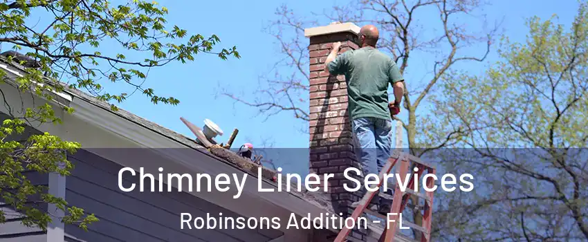 Chimney Liner Services Robinsons Addition - FL