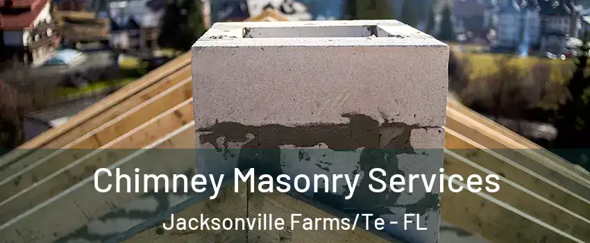 Chimney Masonry Services Jacksonville Farms/Te - FL