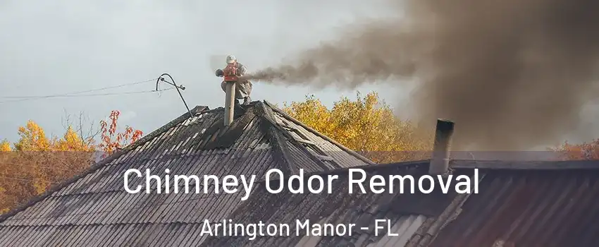 Chimney Odor Removal Arlington Manor - FL