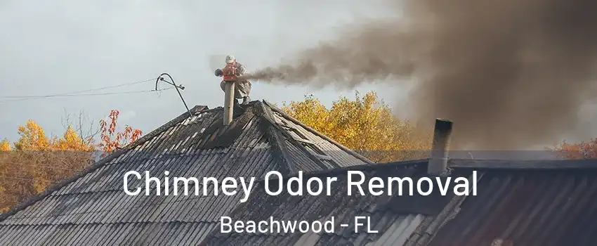 Chimney Odor Removal Beachwood - FL
