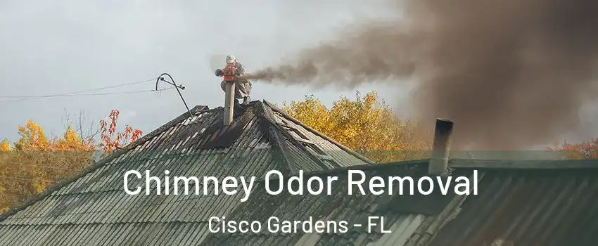 Chimney Odor Removal Cisco Gardens - FL