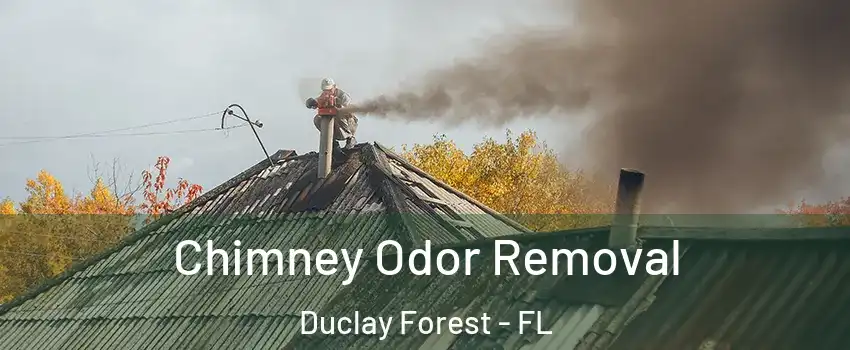 Chimney Odor Removal Duclay Forest - FL