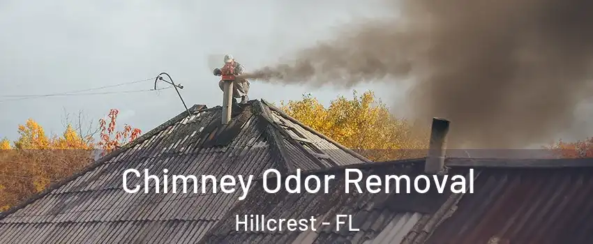 Chimney Odor Removal Hillcrest - FL