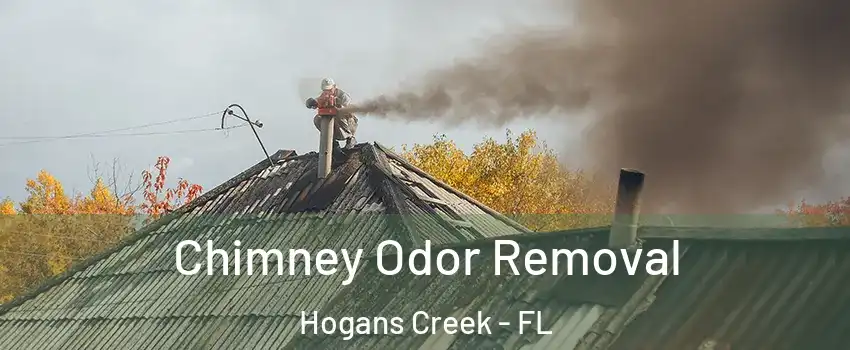 Chimney Odor Removal Hogans Creek - FL