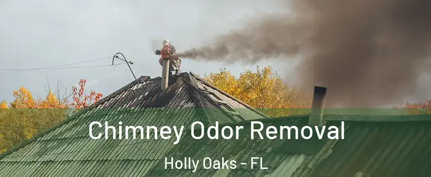 Chimney Odor Removal Holly Oaks - FL