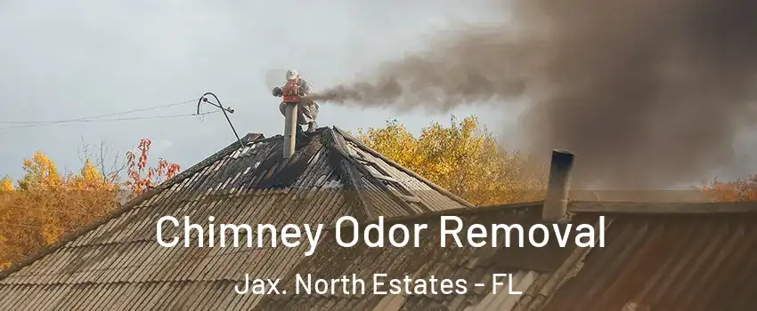 Chimney Odor Removal Jax. North Estates - FL