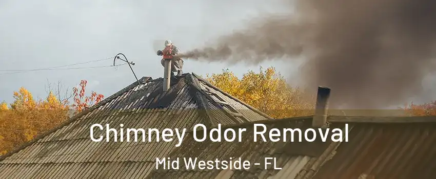 Chimney Odor Removal Mid Westside - FL